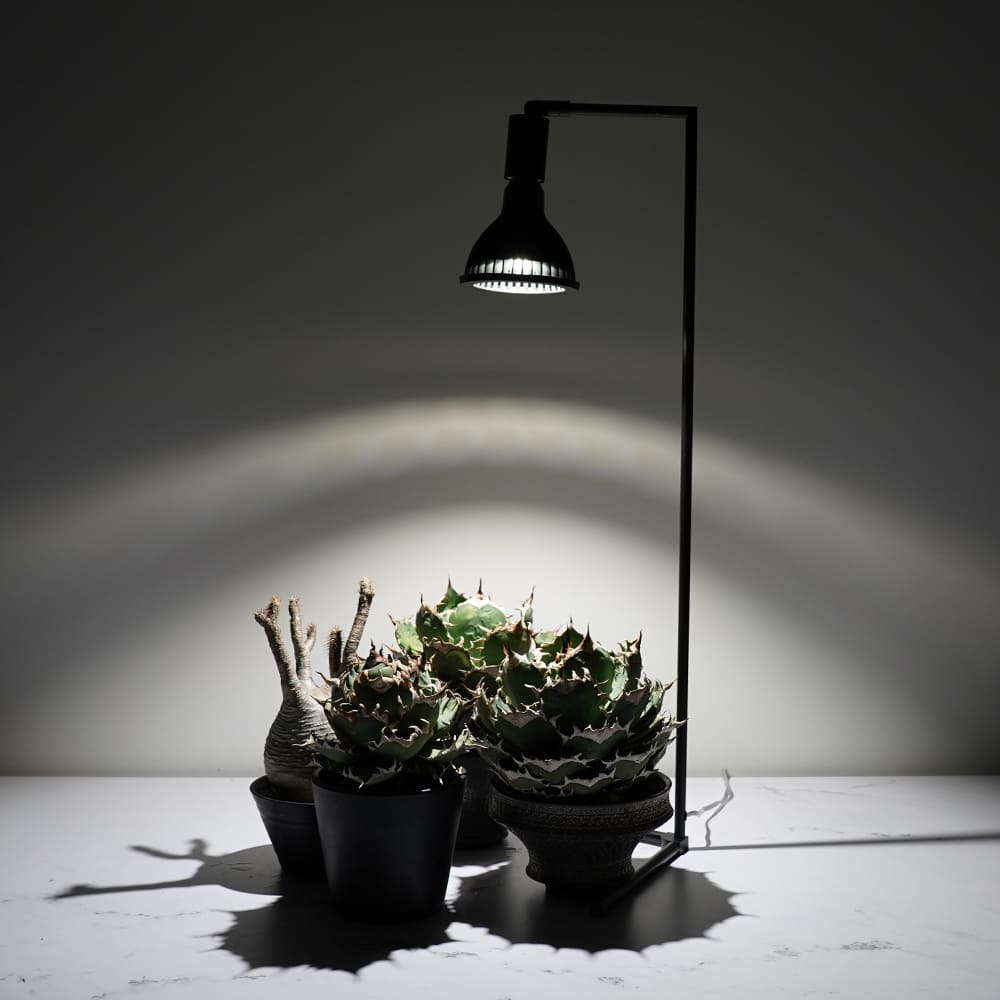 BARREL Plant Light – linkplants -リンクプランツ-