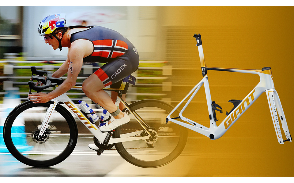 GIANT】《国内限定20台》ブルンメンフェルト シグネチャー「PROPEL