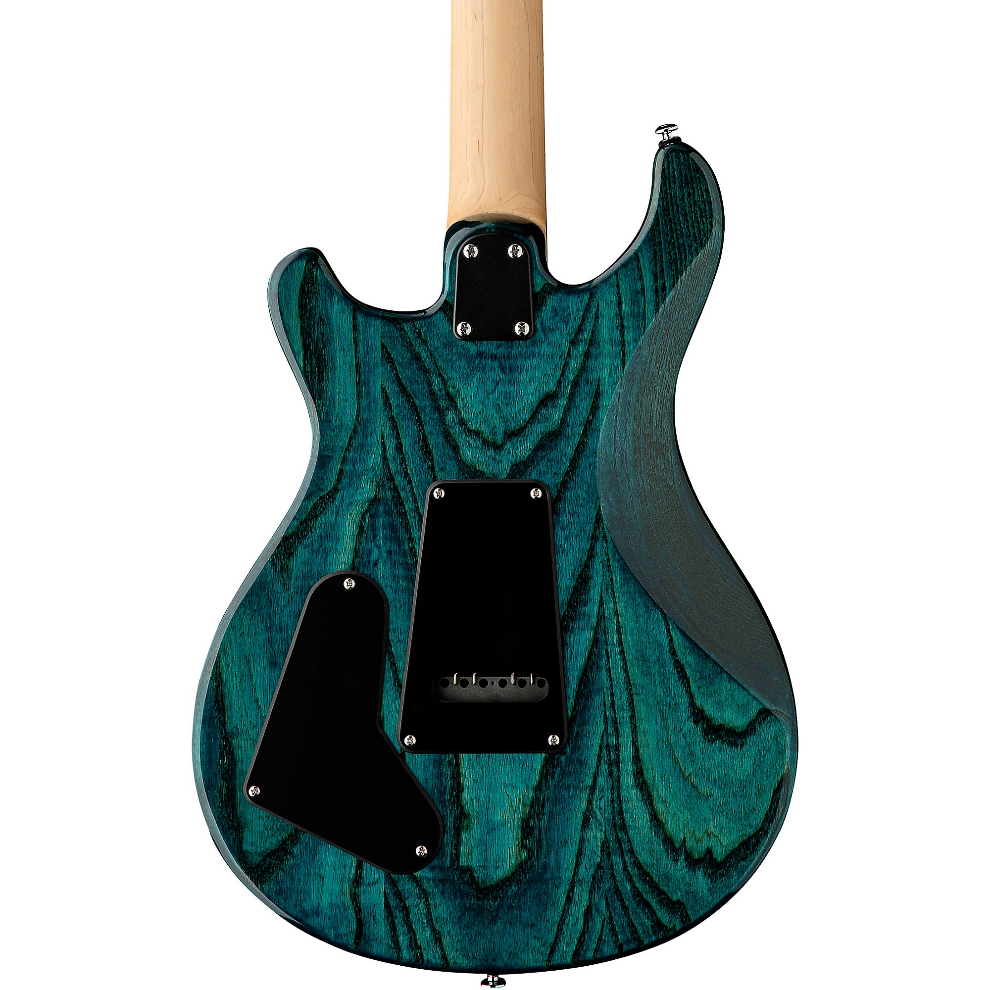 PRS SE Swamp Ash Special Electric Guitar | Music & Arts