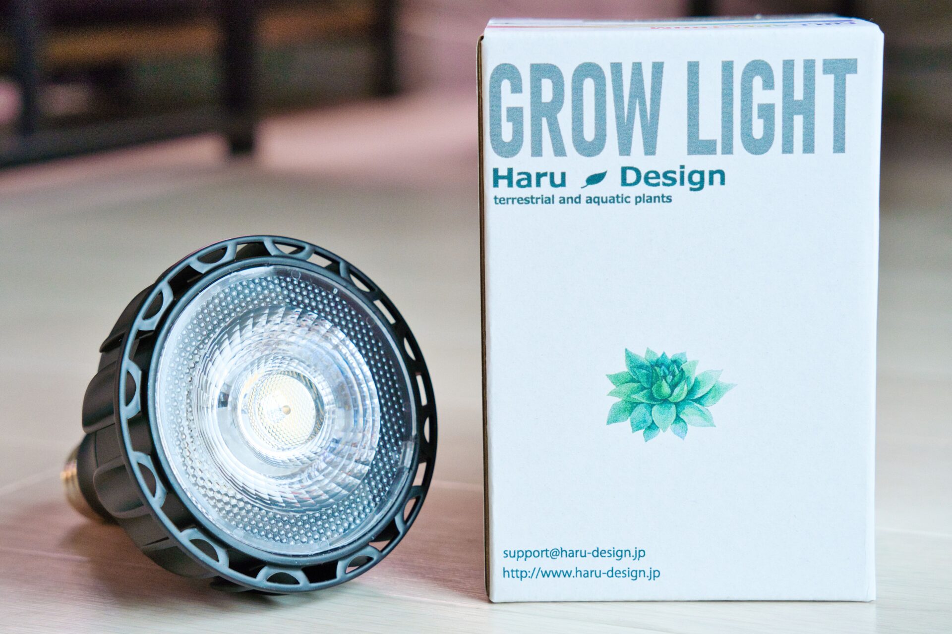 植物LEDレビュー】HaruDesign GL-A 6Kをビカクシダ用に購入しました