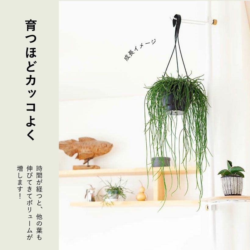 000000005921-02.jpg?size=l&w=