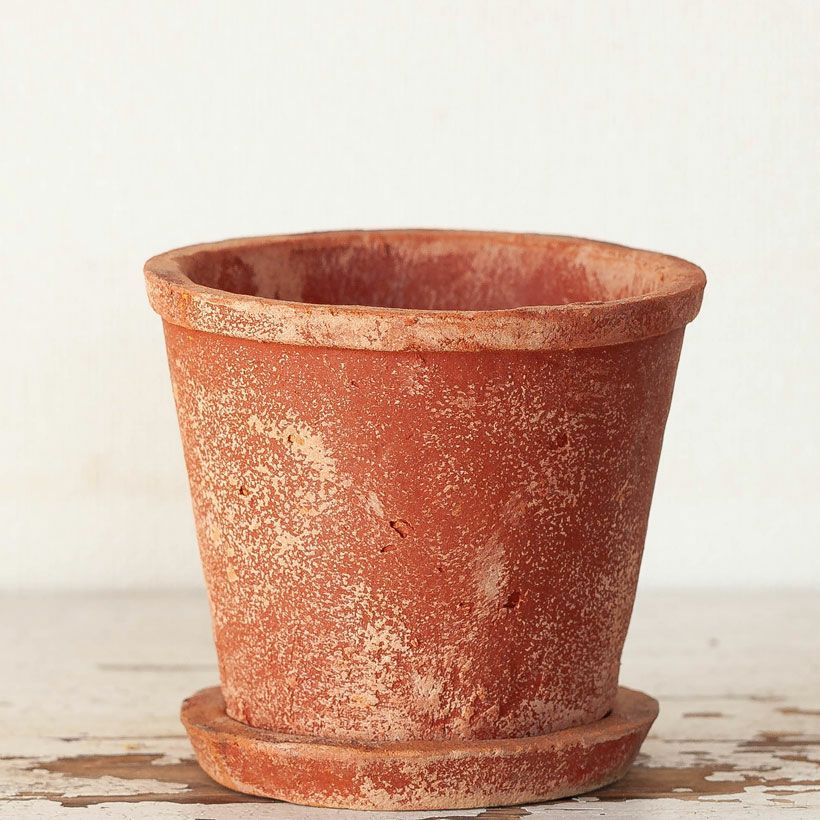 テラコッタ風の鉢｜アンティークで使い古したようなお洒落陶器鉢