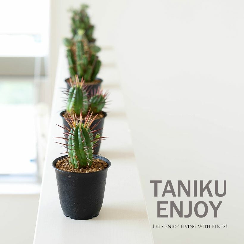 000000008559-02.jpg?size=l&w=