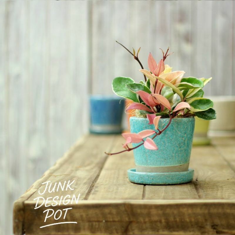 9色から選べる！貫入加工のカラー陶器鉢｜2.5サイズ植物の植替えに