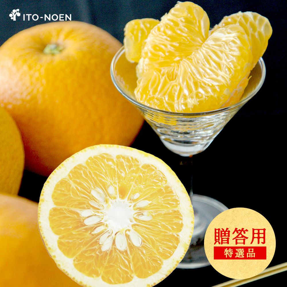 八朔(はっさく)｜和歌山県産八朔(はっさく)を産直直送・お取り寄せ