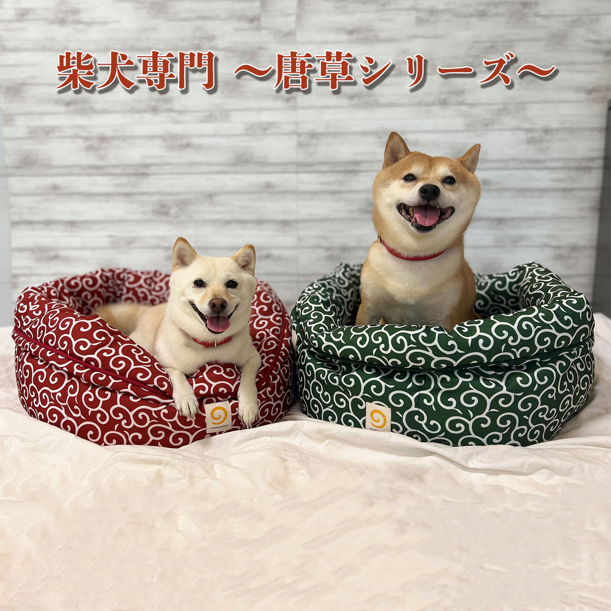 mamemochi – PET LIFESTYLE MOFF