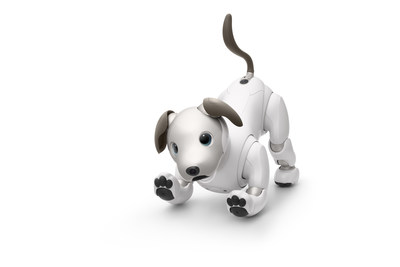 Sony Announces Limited First Litter Edition Release of aibo in U.S.