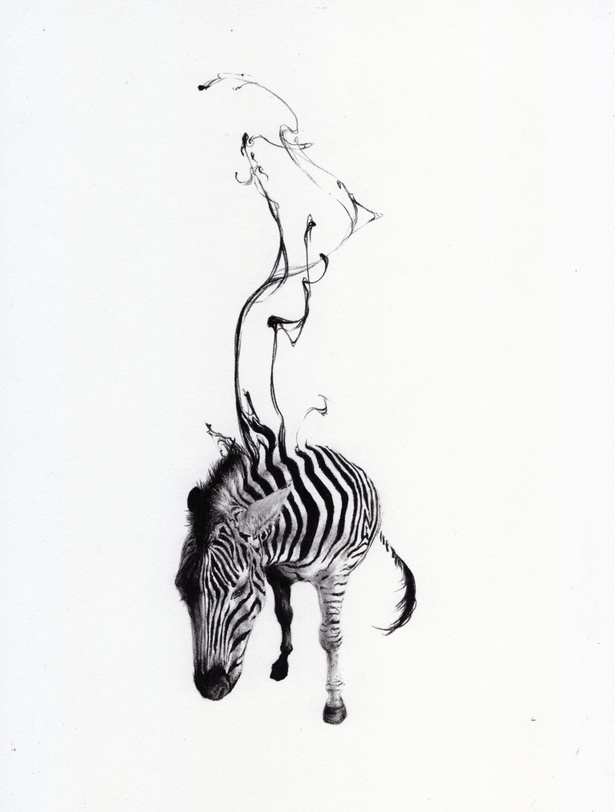 チャコールペンシルで描かれる漆黒の動物たちがSNSで話題に！“瞳を描か