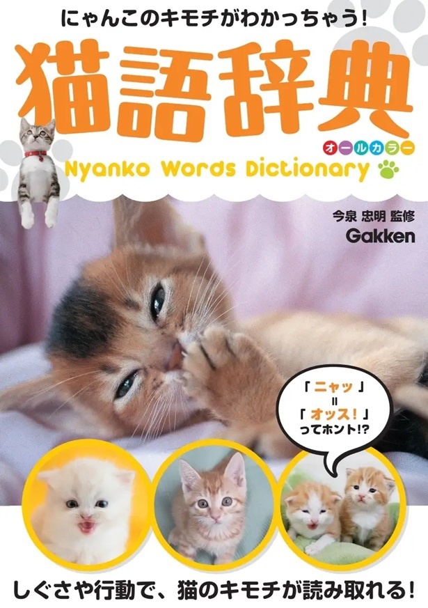 しぐさや行動で猫の気持ちがわかる！「猫語辞典」発売｜ワンコと