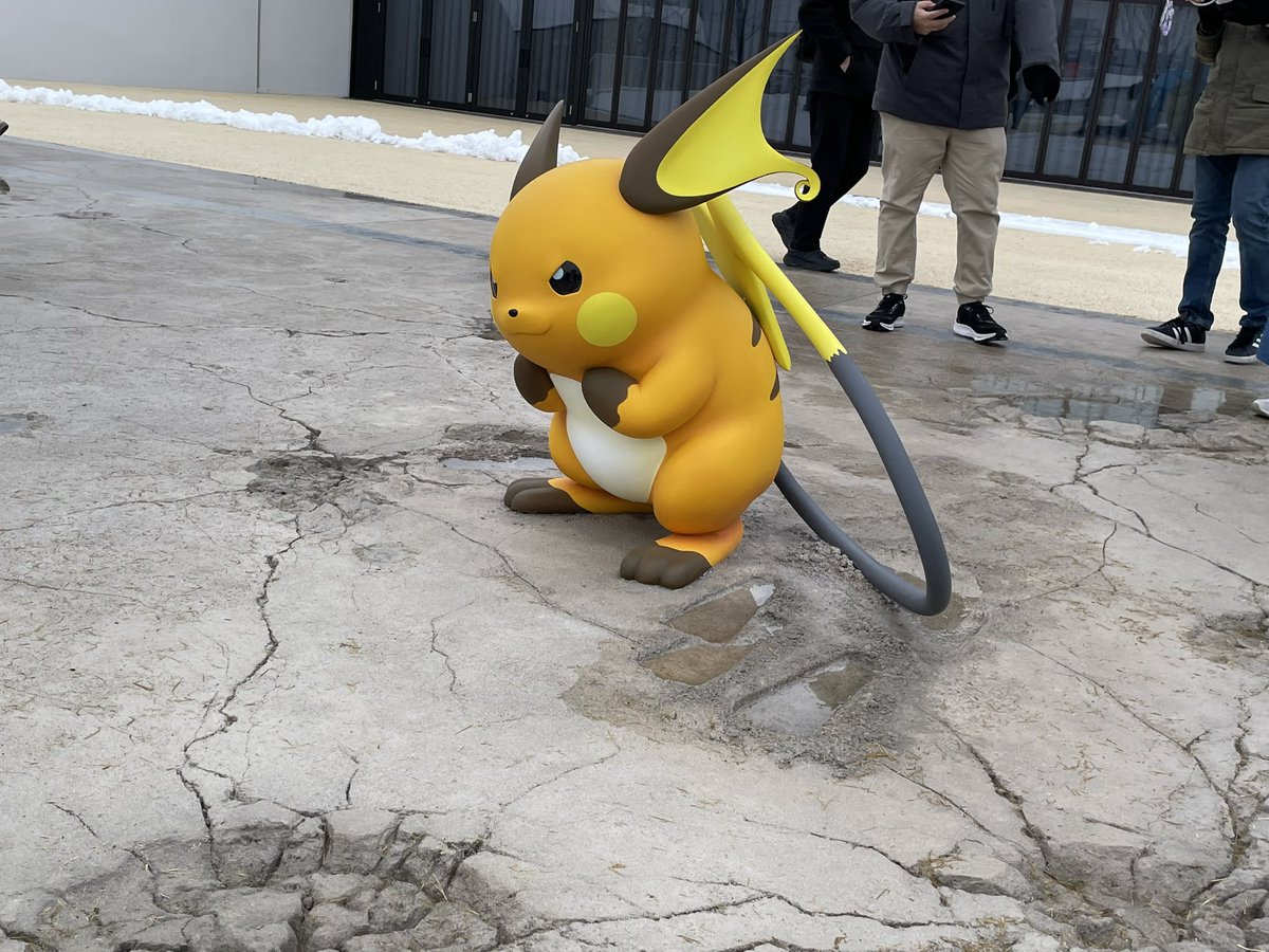 ライチュウのおしり。ピカチュウ進化系シリーズの全てのカッコ良さと