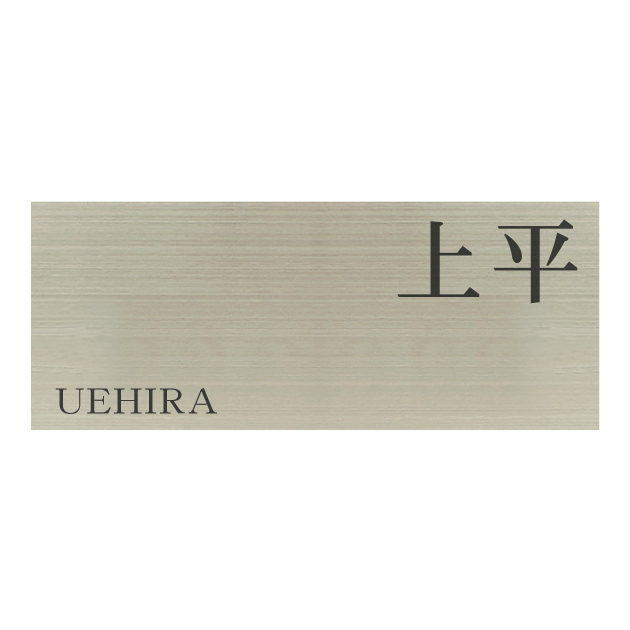 ステンレスシンプルワード表札 HSW-002-02（ハンコヤドットコム