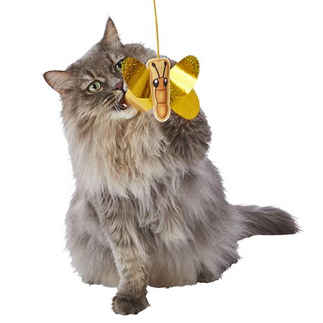 10%OFF！猫の日特集】Add.Mate アドメイト 猫用おもちゃ カシャカシャ