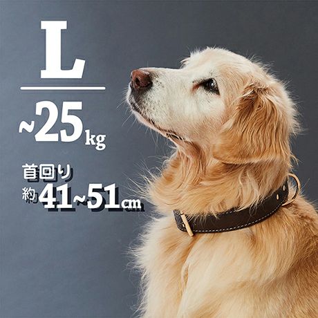 犬用首輪 Porta ポルタ クラシックソフトレザーカラー 36mm ブラウン