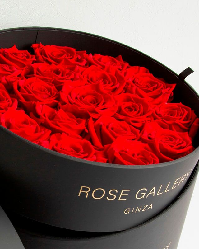 アンダーザローズ(L-L18) | ローズギャラリー銀座 オンラインショップ