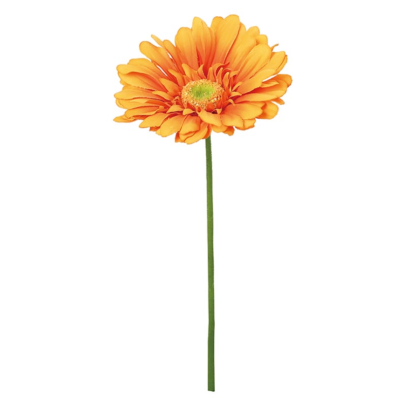 ドガ フレンチガーベラ オレンジ FLS-5327 1本（ご注文単位1本）【直送