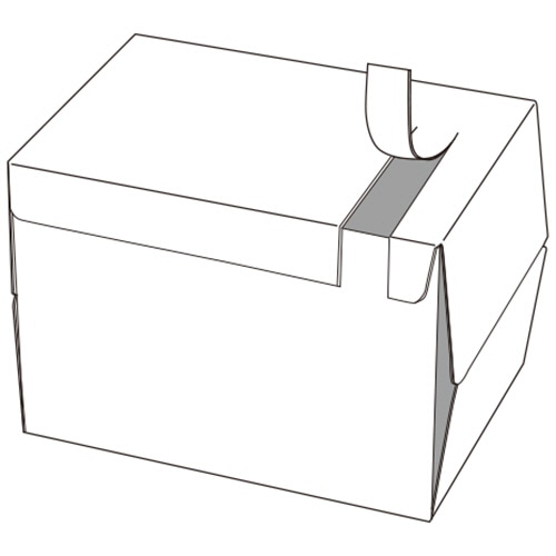 TANOSEE PPC用紙 Pure White A5 フタ無し箱 500枚 10冊/箱（ご注文単位