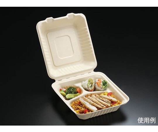 HEIKO 食品容器 バンブーペーパーウエア フードパック 3仕切り BFD3-20