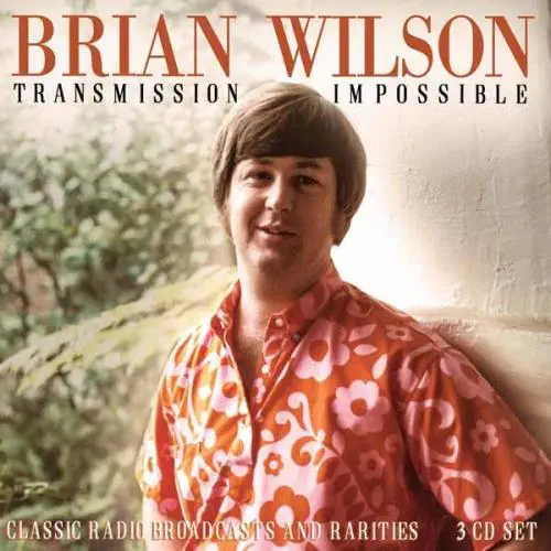 BRIAN WILSON / ブライアン・ウィルソン商品一覧｜ディスクユニオン