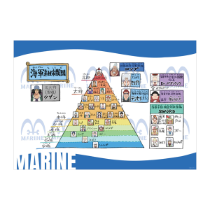 ワンピース】海軍組織図 缶バッジ（全32種ランダム1個）: 雑貨｜東映