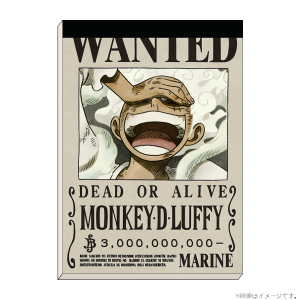 ワンピース】手配書クリアファイル ルフィ 30億: ステーショナリー