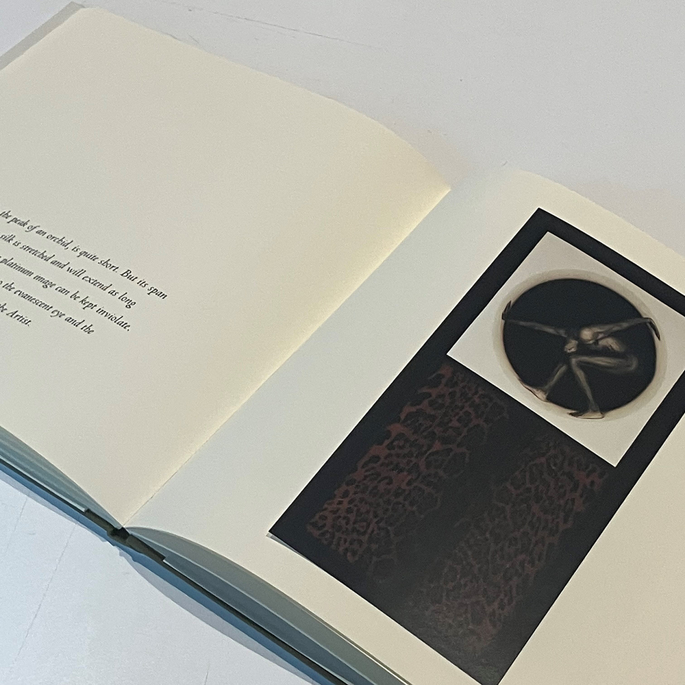 ヴィンテージ】Robert Mapplethorpe: Patti Smith ロバート・メイプル