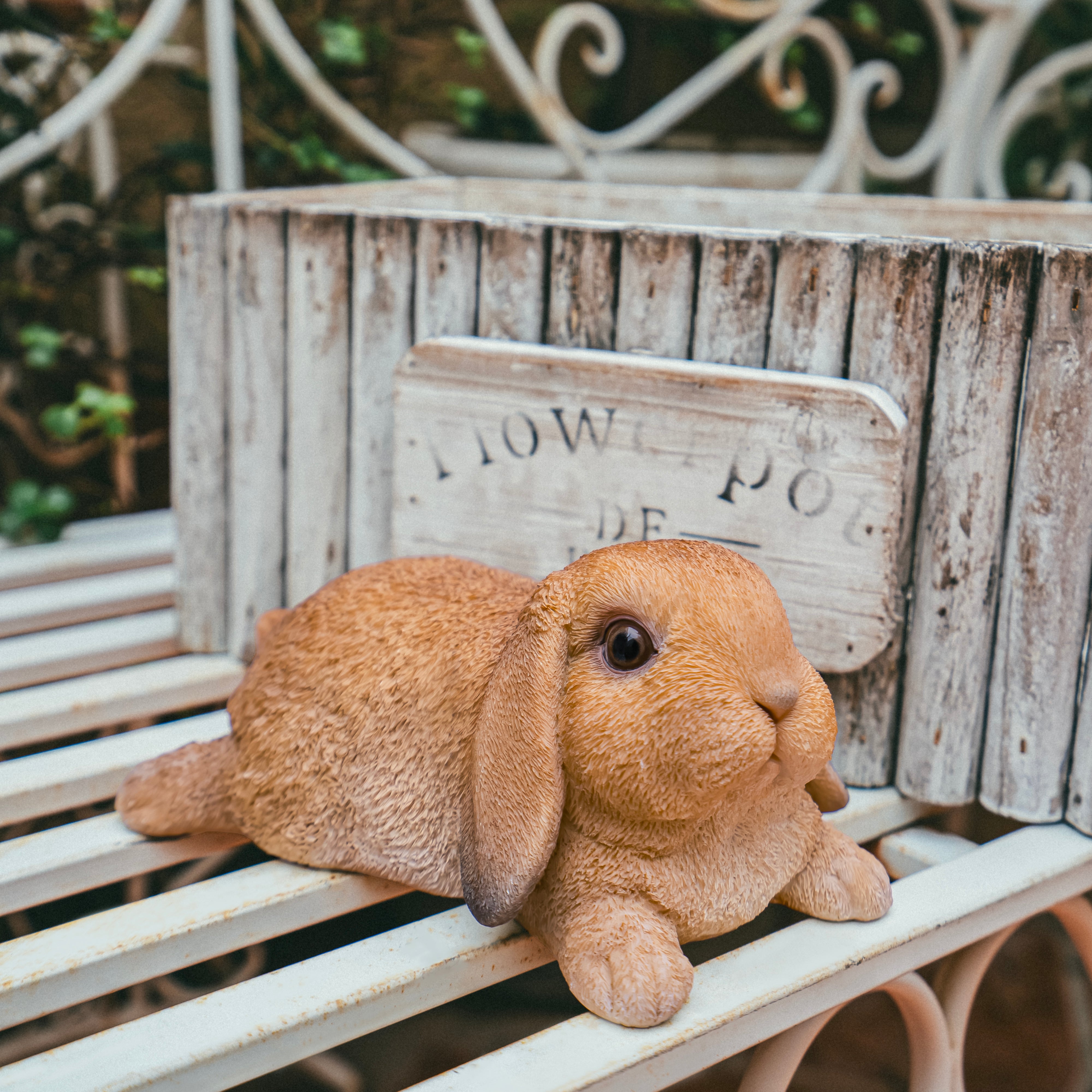 リラックス アメリカンファジーロップ (ブラウン)｜WooBia公式