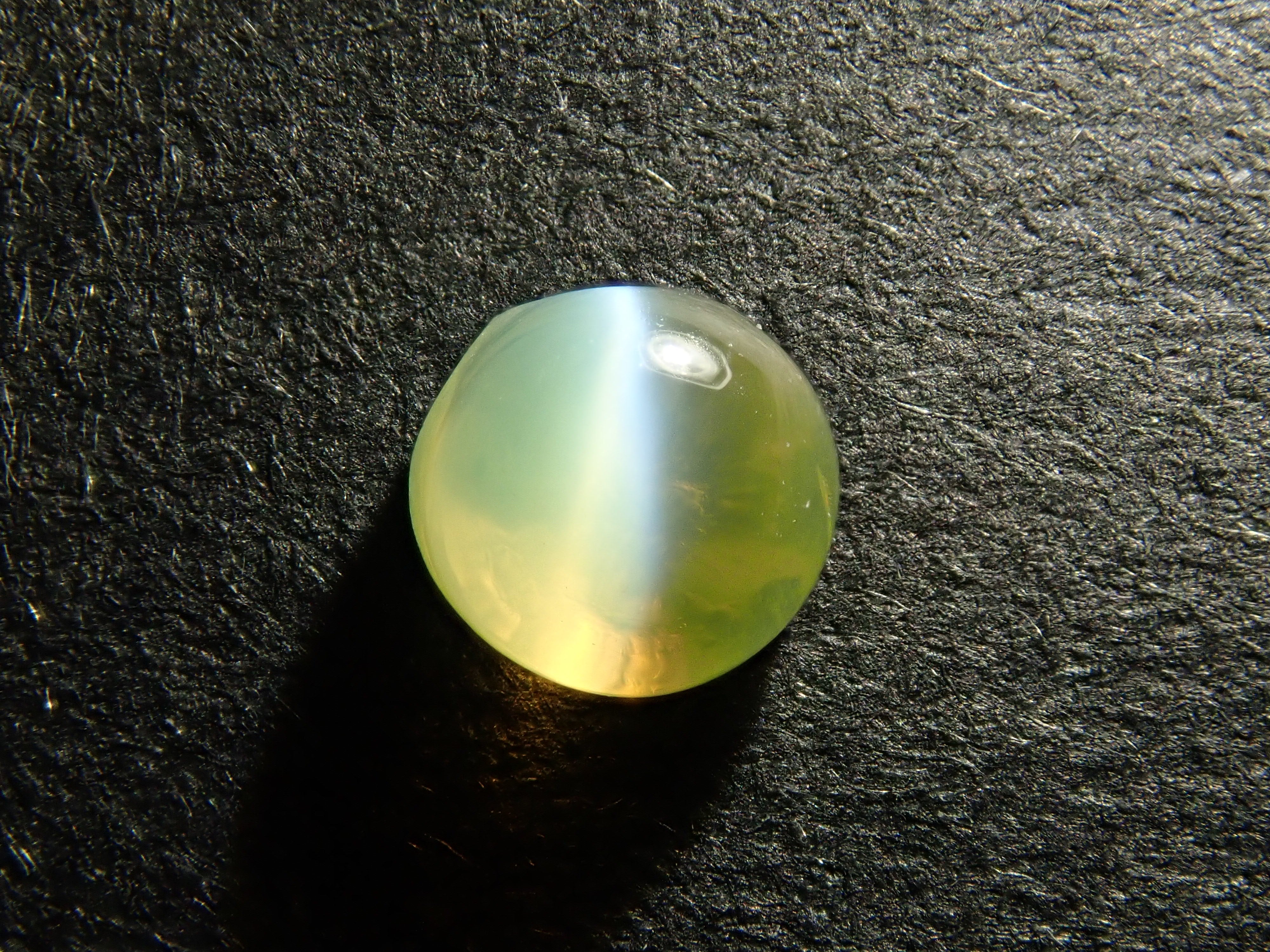 PA250071.jpg?crop=center&