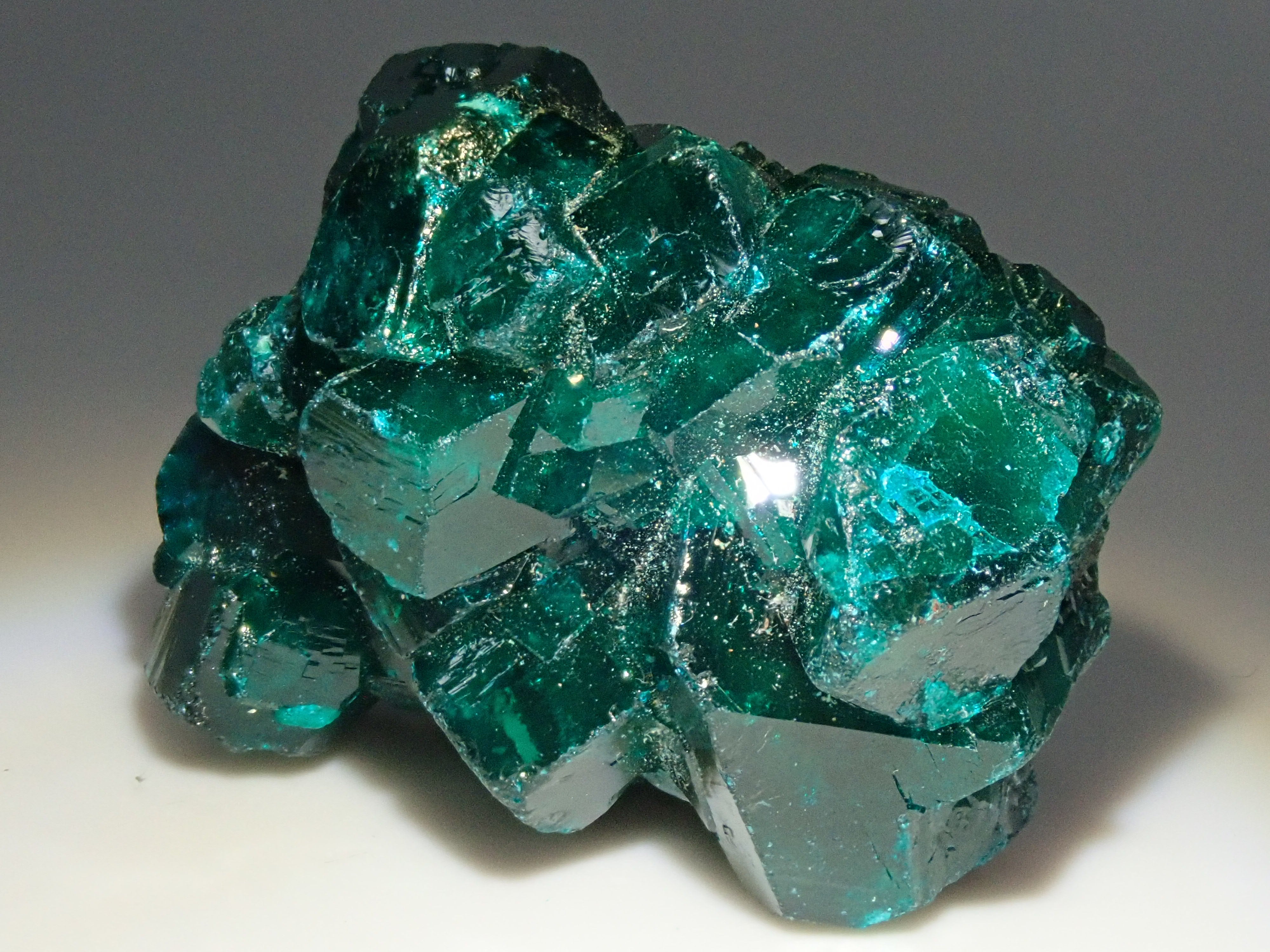 PB291432.jpg?v=1732874985&