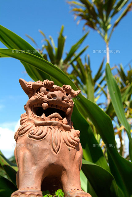 シーサー[28144087063]の写真・イラスト素材｜アマナイメージズ