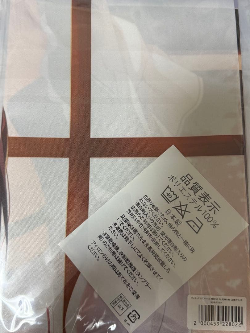 四季ナツメ フィギュア ソフマップ特典 B2布ポスター