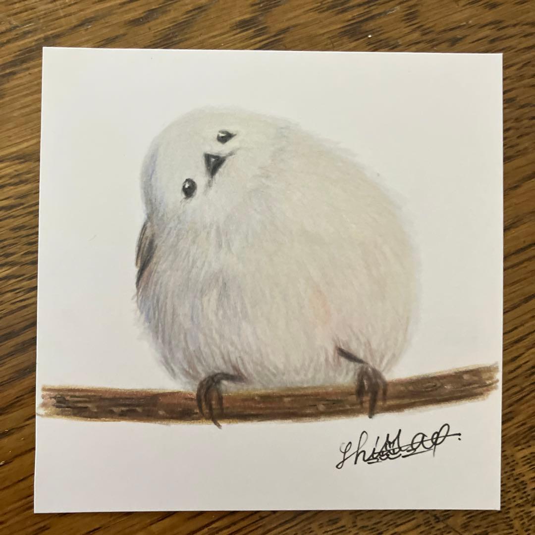 ミニ絵画 シマエナガ 色鉛筆画 - メルカリ