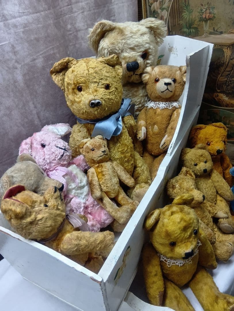 チコちゃん♥イギリスからやって来たクリクリお目目のアンティークチャドバレー