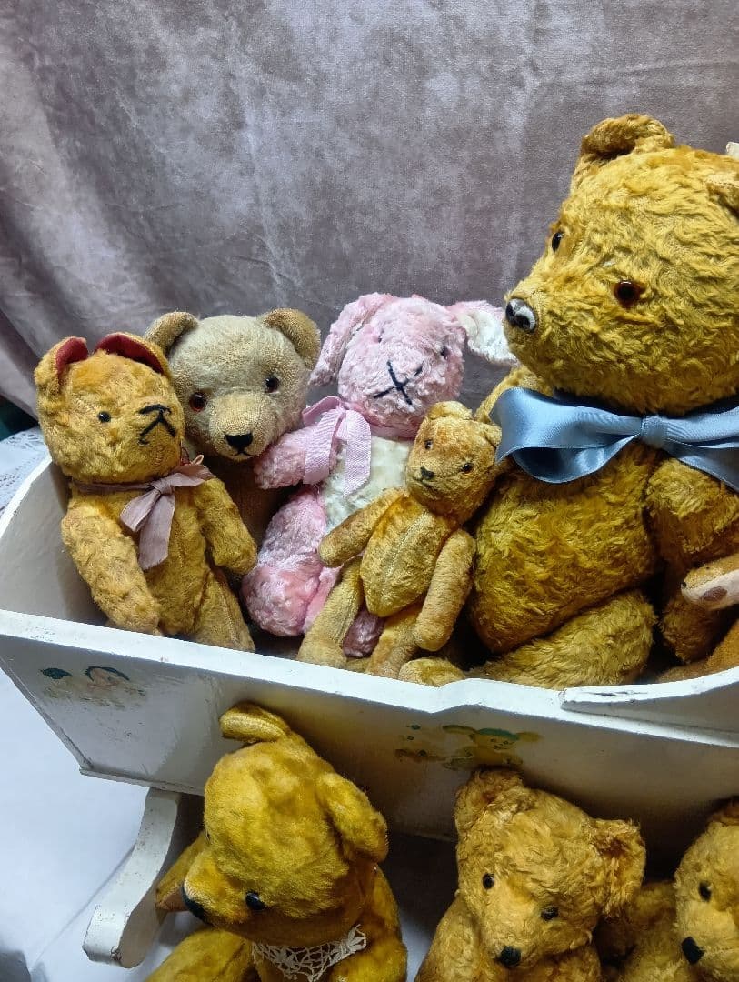 チコちゃん♥イギリスからやって来たクリクリお目目のアンティークチャドバレー