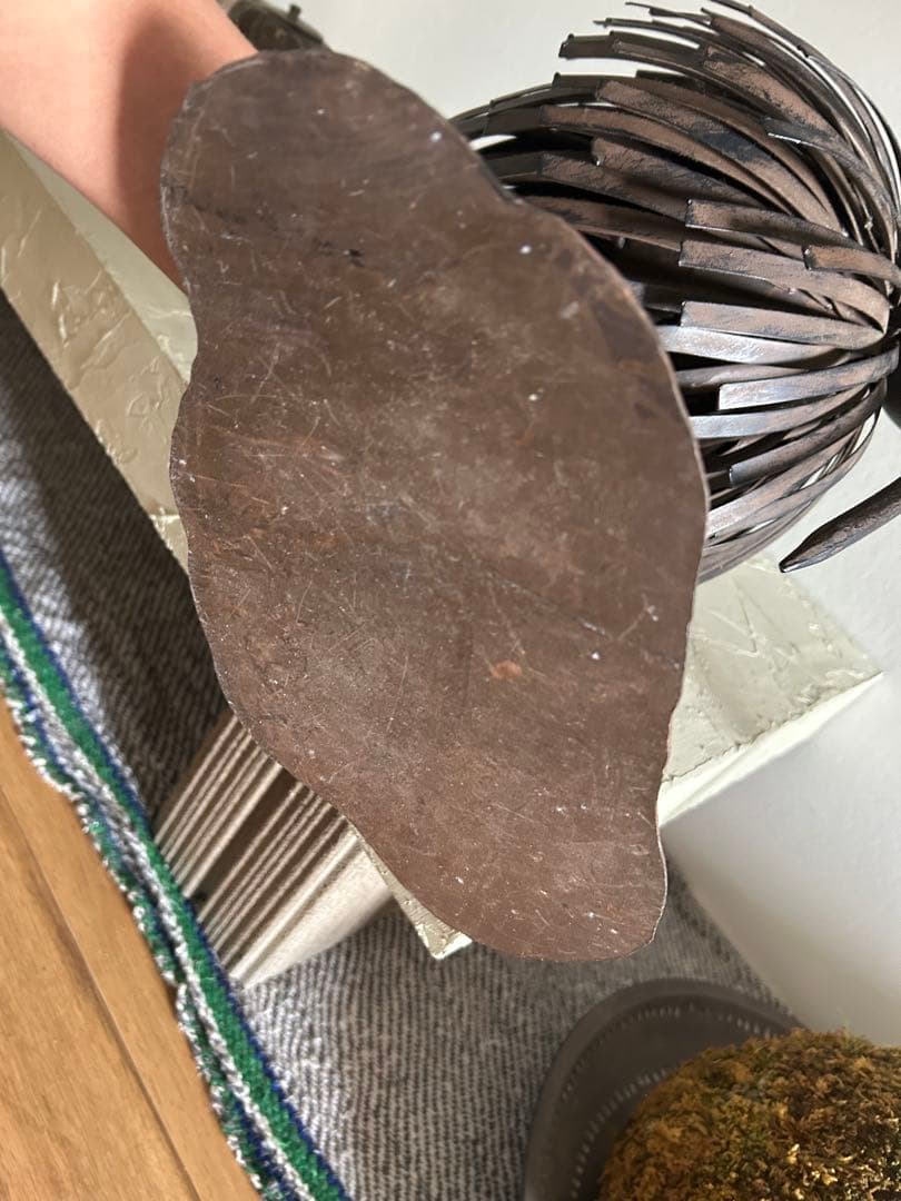 スチール製 キーウィバード オブジェ 現代アート モダンアート ギャラリー 真正