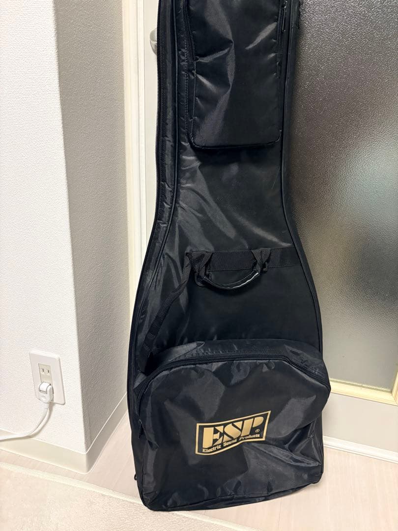 ESP E-Ⅱ HORIZON FR-Ⅱホライズン フルメンテ済