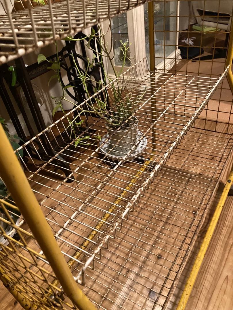 昭和レトロ　ワイヤーラック4段仕様　店舗什器　ガーデニング　シャビーラック11