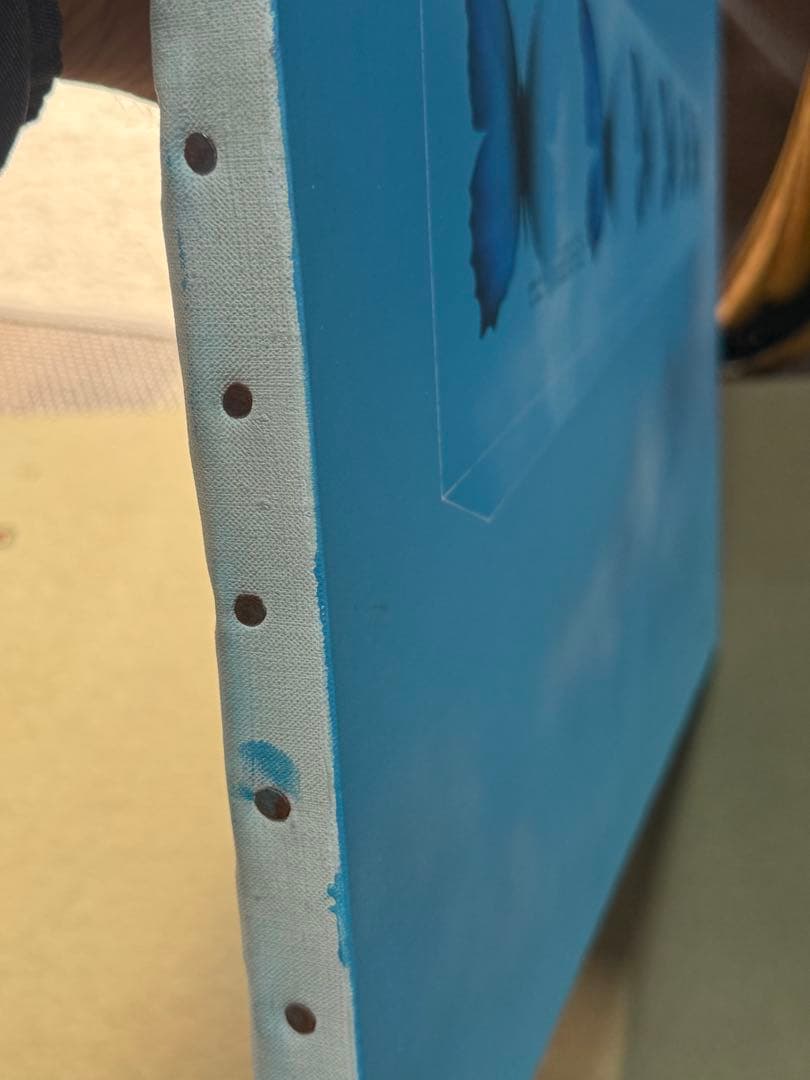 松哲也　時空　蝶の変化を描いたアート作品　送料込み0321