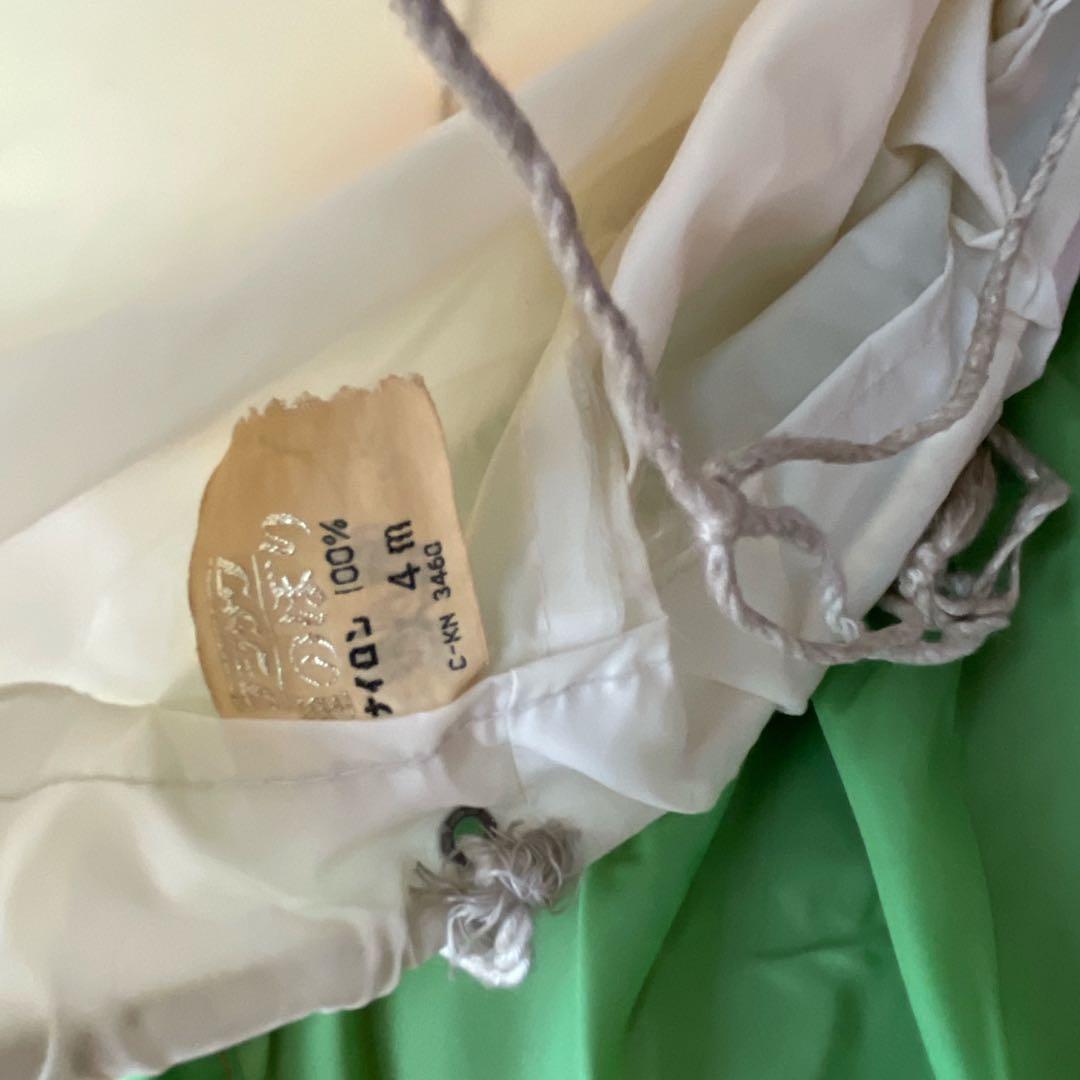 値下げ可！早い者勝ち】ゴールデン フジサワ鯉 旭化成ナイロン