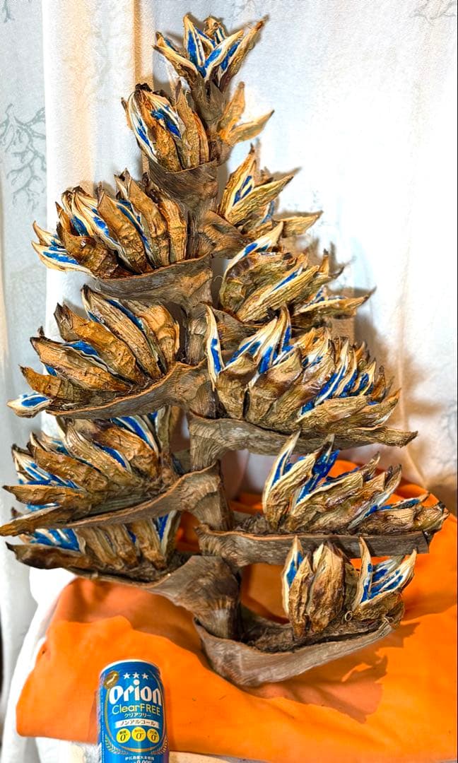 110 旅人の木 期間限定割引 今季宮古島産11房