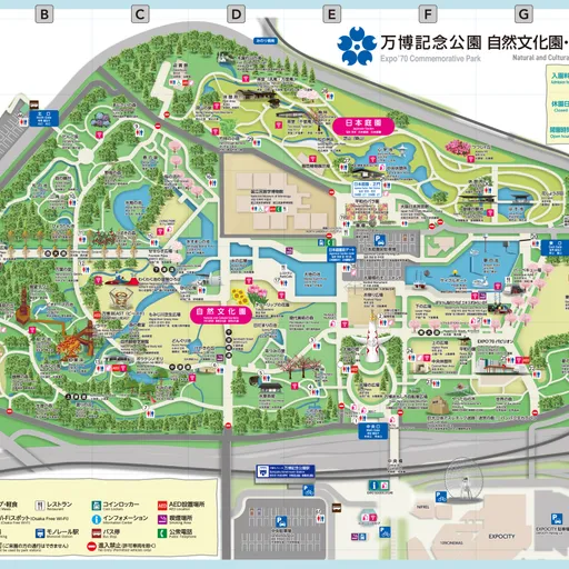 万博記念公園 自然文化園・日本庭園マップ | オリジナル地図、イラスト